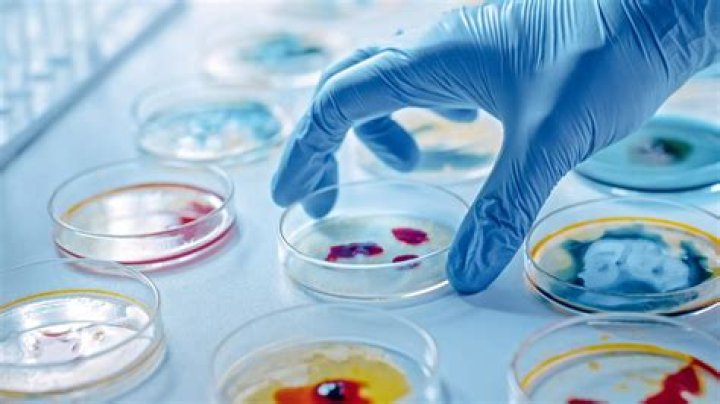 Florence Olajire Adeyemo's Pioneering Discoveries In Microbiology