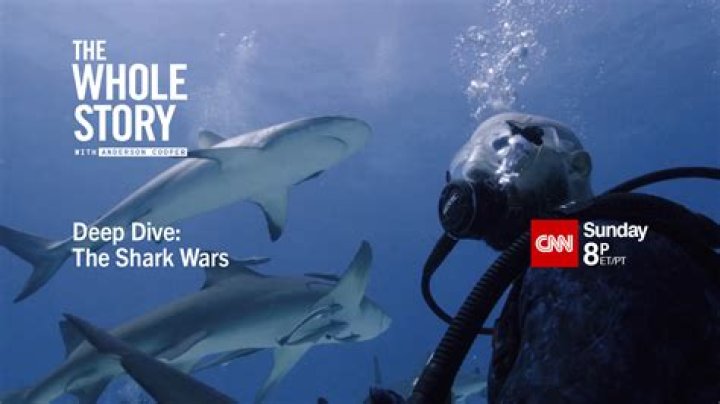 Unveiling The Private World Of CNN's Boris Sanchez: Discoveries And Insights