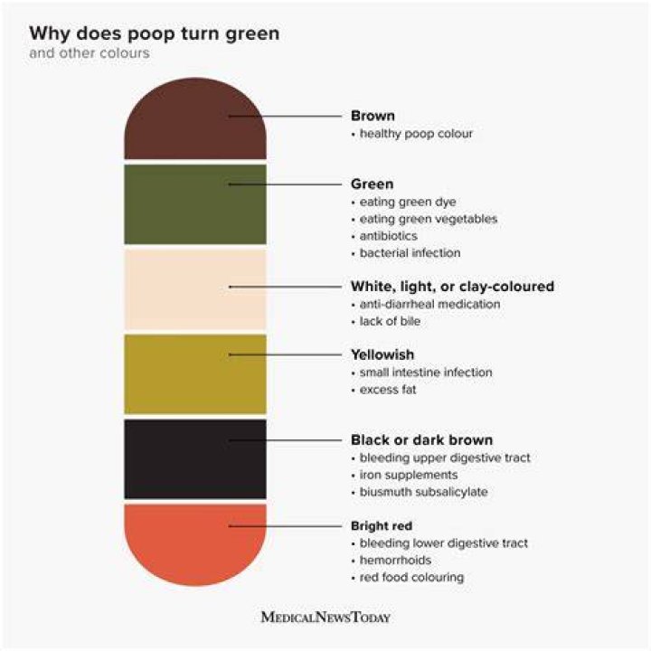 What if my poop is blue green? Celebrity.fm #1 Official Stars, Business & People Network, Wi