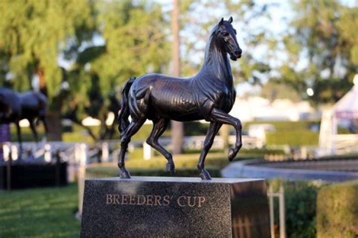 What to know about Breeders Cup 2023: Start time, favorites, post positions and more