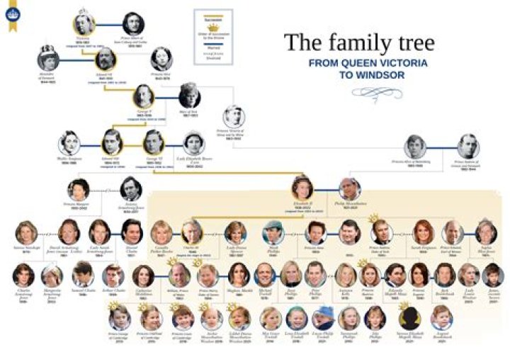 Who Are Jeremy Allen White Parents? Family Tree ·