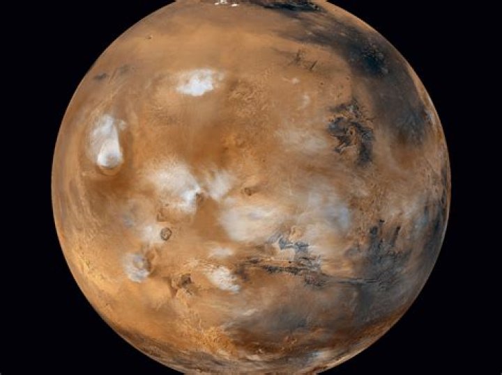 Wiki, Biography, Age, Brother, Mars Island ·